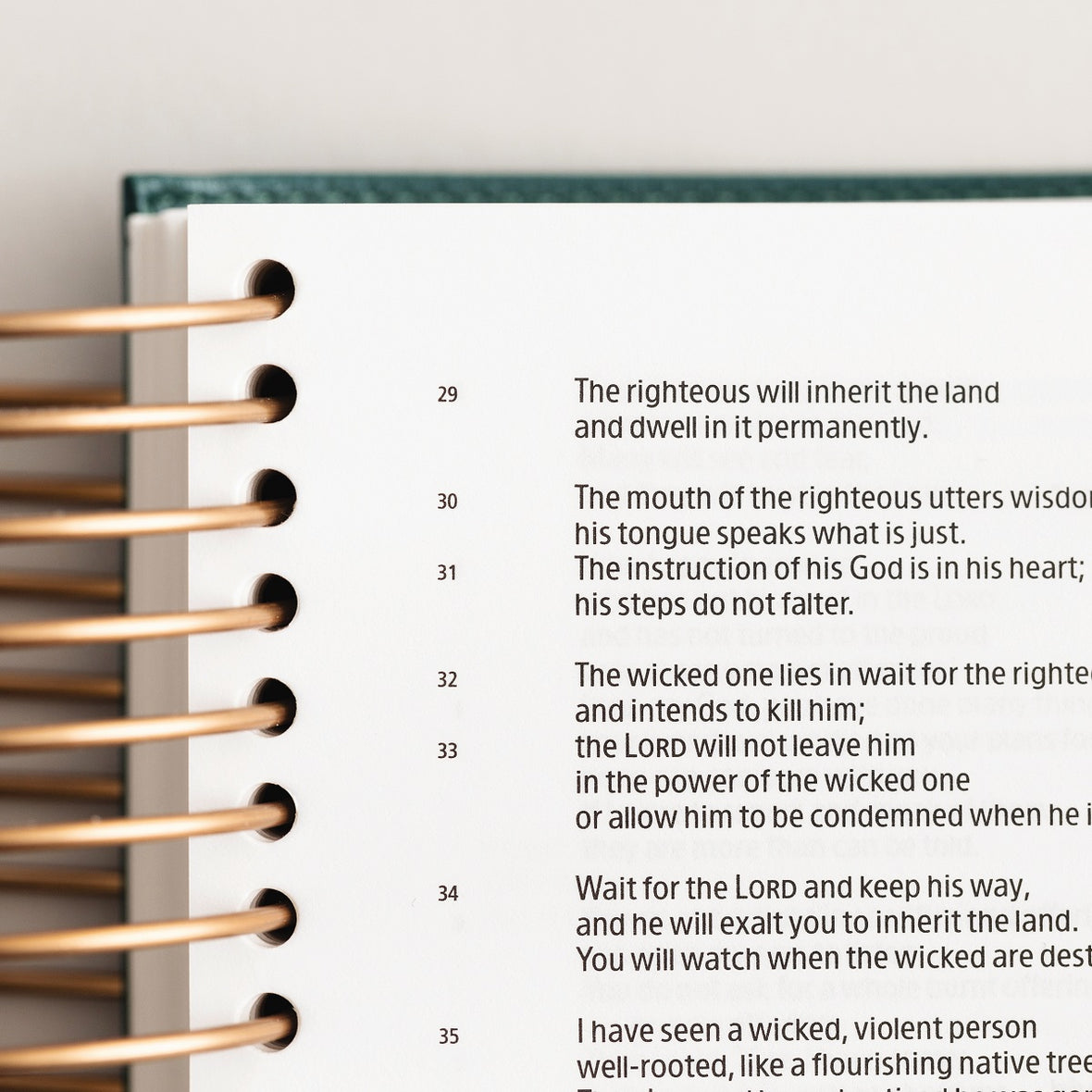 CSB, Spiral-bound Illustrating Bible, Leathersoft Spiral, Green: Draw, Write, and Reflect Your Way Through Scripture