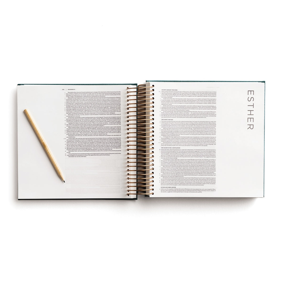 CSB, Spiral-bound Illustrating Bible, Leathersoft Spiral, Green: Draw, Write, and Reflect Your Way Through Scripture