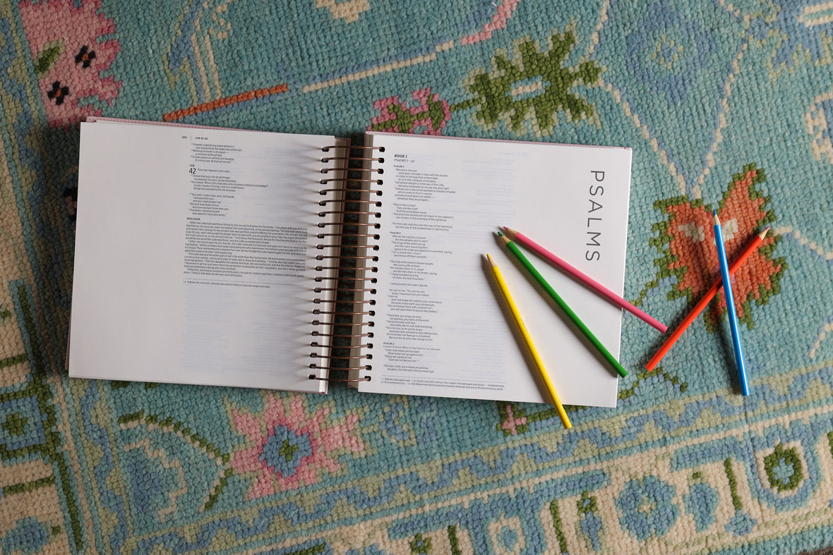 NIV, Spiral-bound Illustrating Bible, Leathersoft Spiral, Pink: Draw, Write, and Reflect Your Way Through Scripture