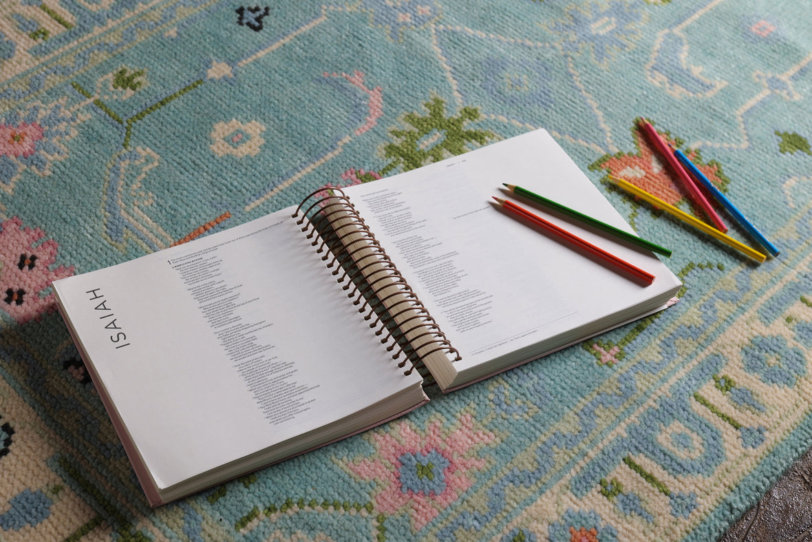 NIV, Spiral-bound Illustrating Bible, Leathersoft Spiral, Pink: Draw, Write, and Reflect Your Way Through Scripture
