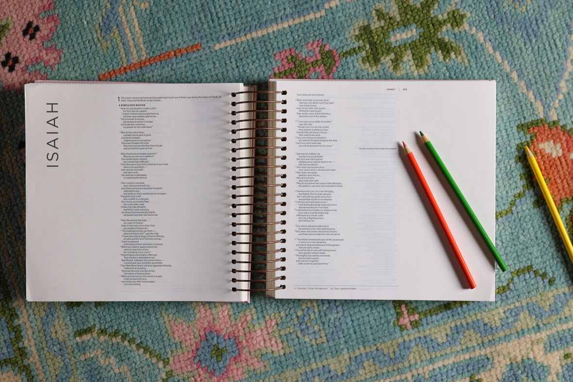 NIV, Spiral-bound Illustrating Bible, Leathersoft Spiral, Pink: Draw, Write, and Reflect Your Way Through Scripture
