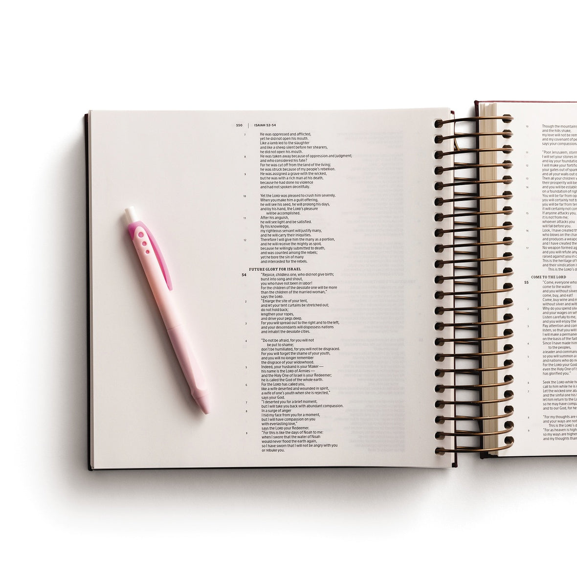 CSB, Spiral-bound Illustrating Bible, Leathersoft Spiral, Cranberry: Draw, Write, and Reflect Your Way Through Scripture