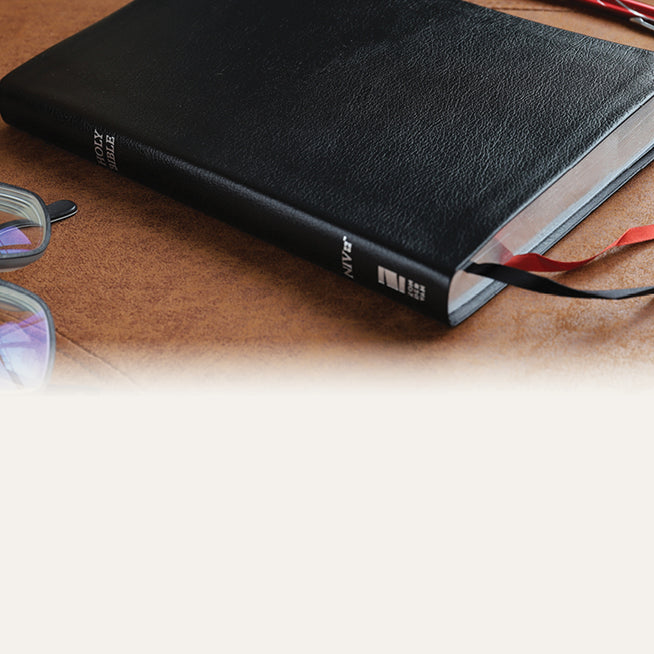 Bibles For Churches NIV KJV NKJV Spanish ChurchSource Bibles for churches niv kjv nkjv spanish churchsource