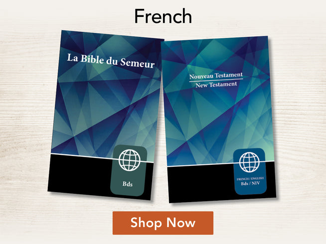 French New Testament book cover with geometric design on a light background