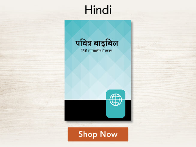 Book cover with text in Hindi on a light background