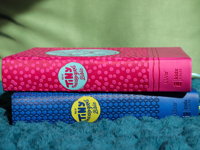 Two books, one pink and one blue, with 'Tiny Bible' labels on a textured surface.