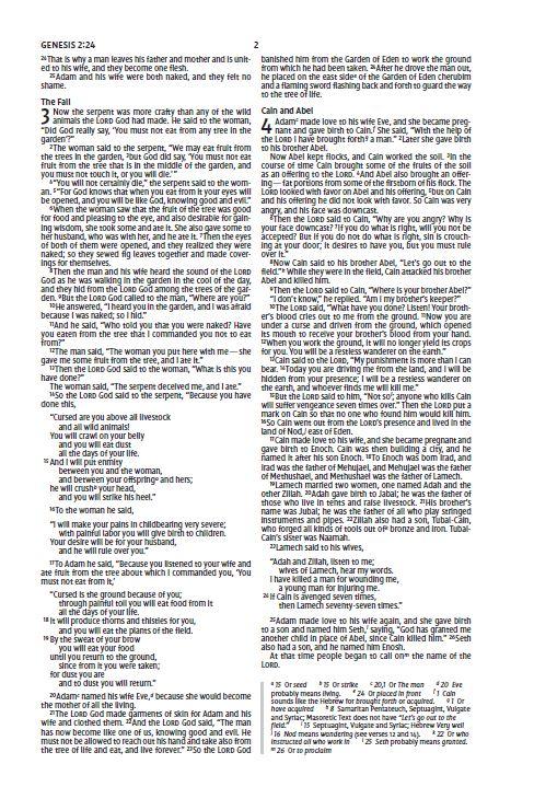 NIV, Holy Bible for Kids, Economy Edition, Paperback, Case of 40 Bundle