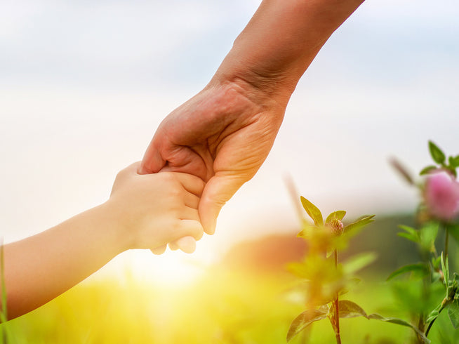 Child holding adults hand with sun in background and flowers