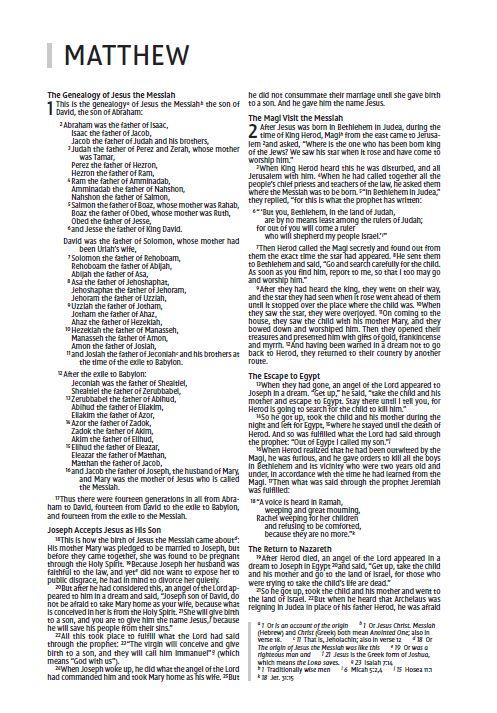 NIV, Holy Bible for Kids, Economy Edition, Paperback, Case of 40 Bundle