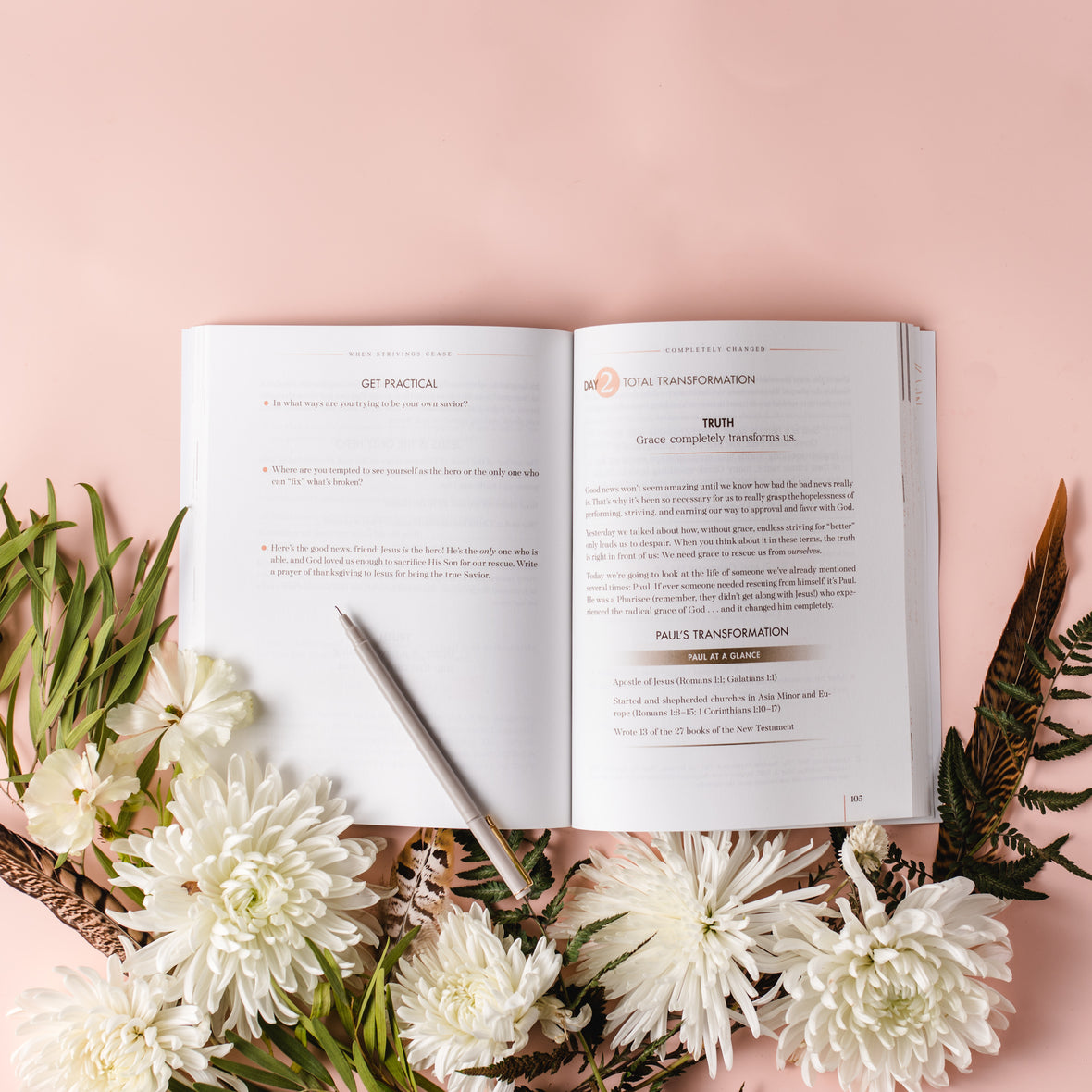 When Strivings Cease Book and Bible Study Guide plus Streaming Video Bundle