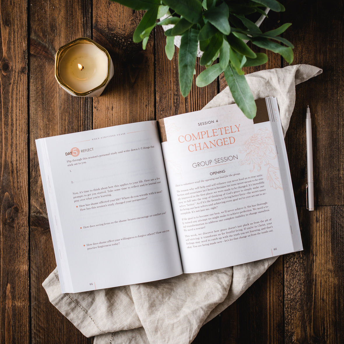 When Strivings Cease Book and Bible Study Guide plus Streaming Video Bundle