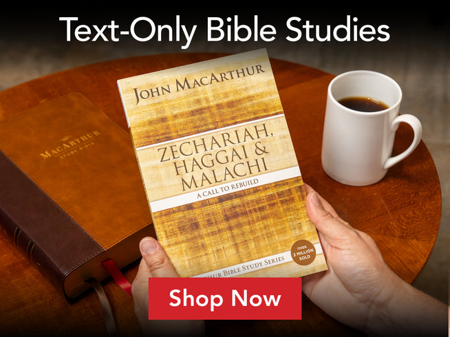 Text -only Bible Studies