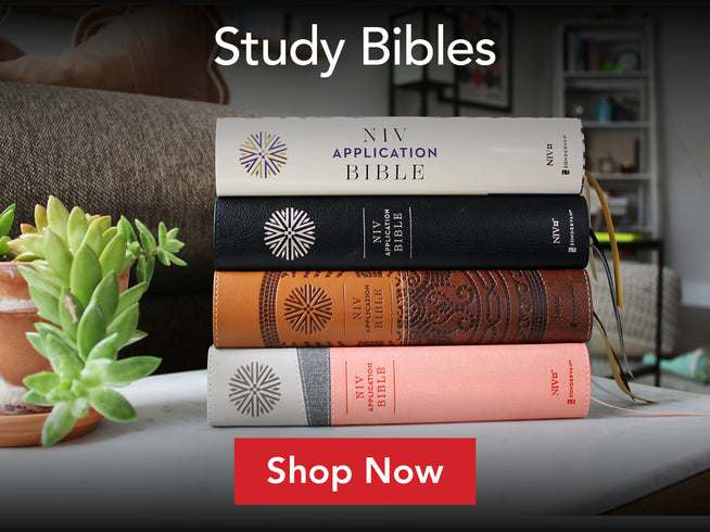 Study BIbles