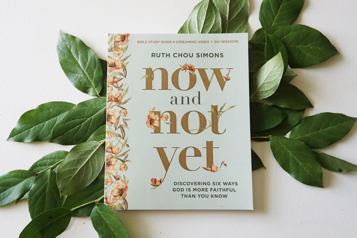 Now and Not Yet Book and Bible Study Guide plus Streaming Video Bundle