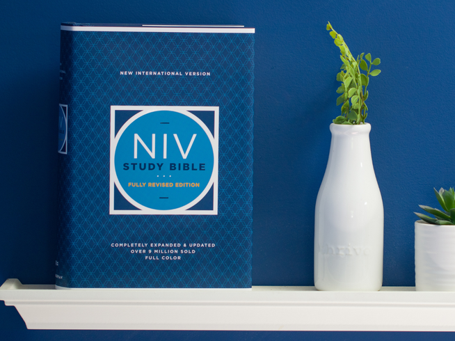 NIV Study Bibles