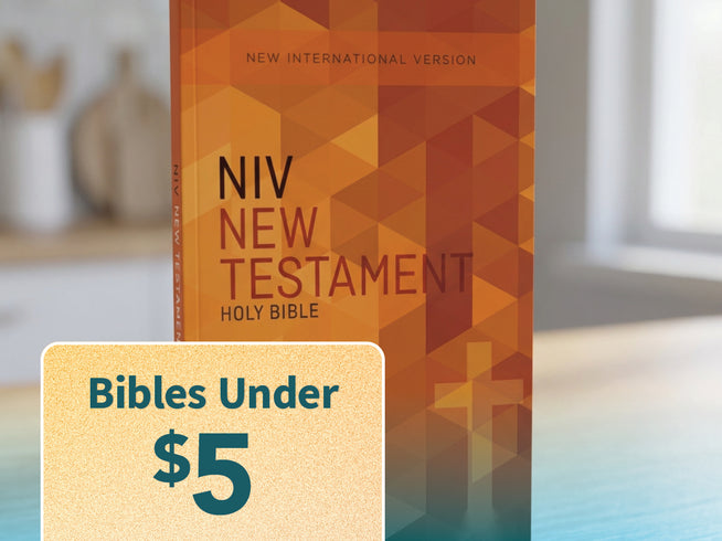 NIV New Testament Holy Bible in a geometric orange and brown cover design, shown standing upright with a promotional badge in the foreground reading 'Bibles Under $5'.