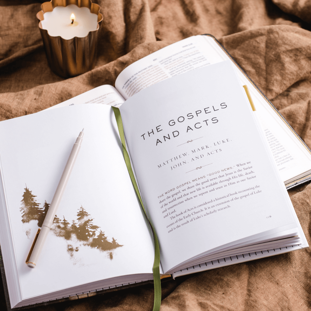 The Whole Story: A 52-Week Devotional Journey Through Every Book of the Bible
