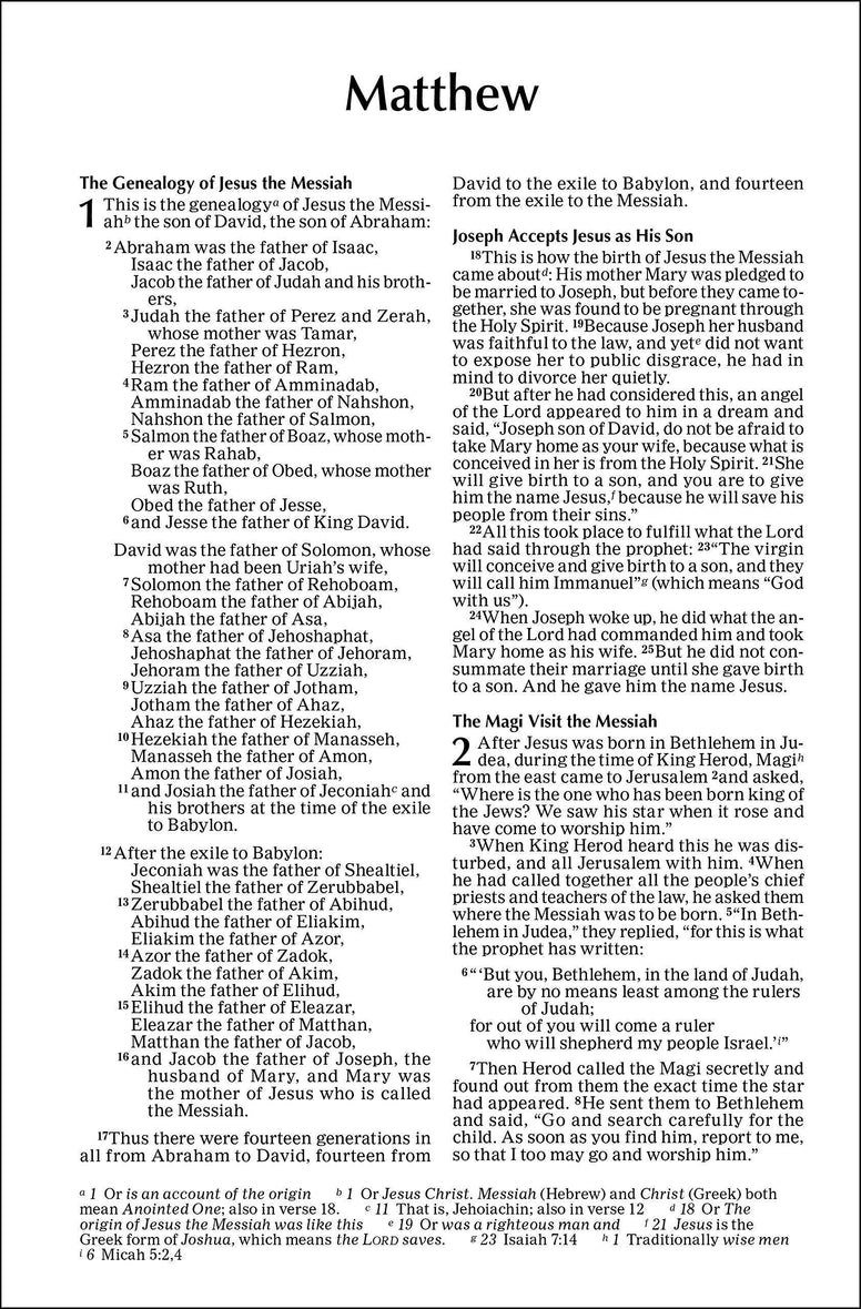NIV, Outreach New Testament, Case of 20