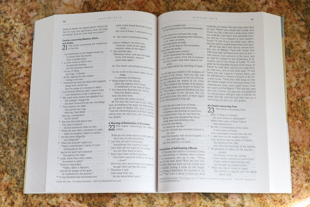 NRSV, The Daily Bible: Read, Meditate, and Pray Through the Entire Bible in 365 Days