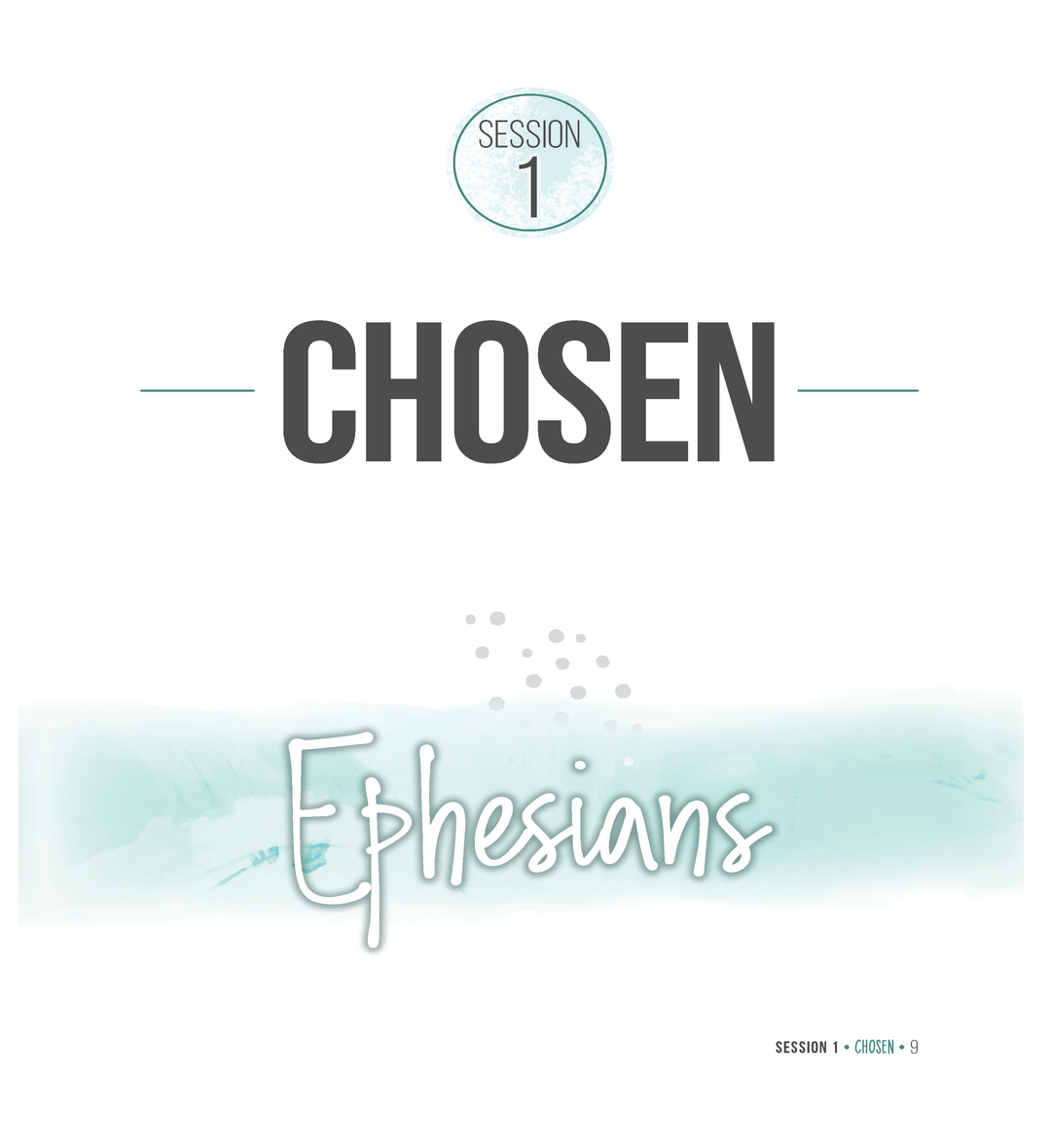 Ephesians Study Guide with DVD