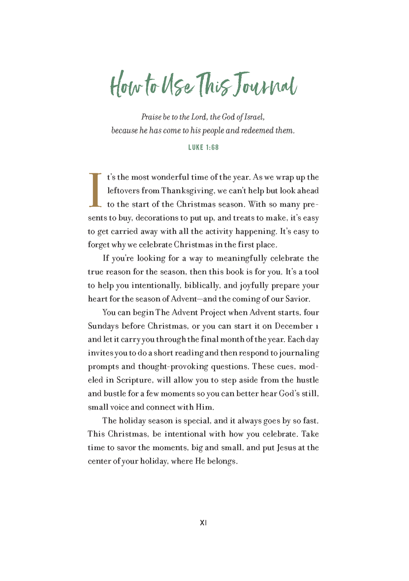 The Advent Project.pdf The Advent Project: A Challenge to Journal, Reflect, and Celebrate Chr ...