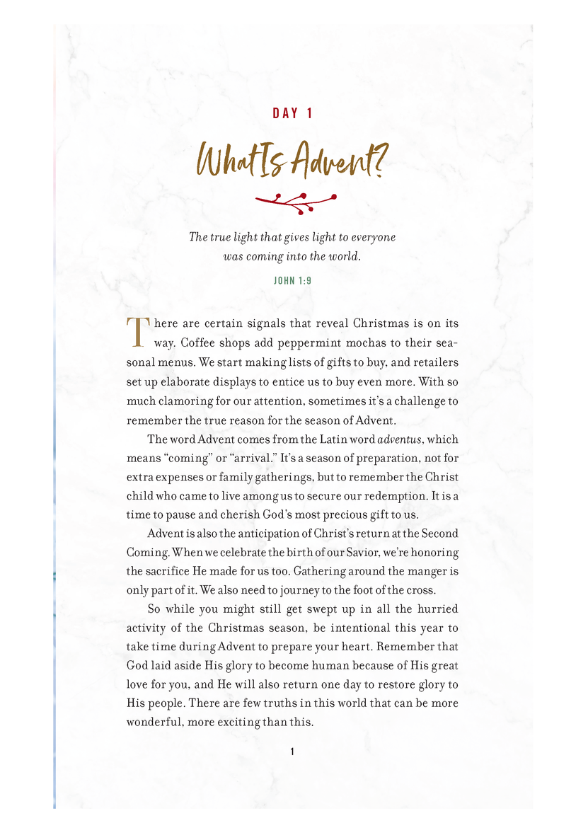 The Advent Project.pdf The Advent Project: A Challenge to Journal, Reflect, and Celebrate Chr ...