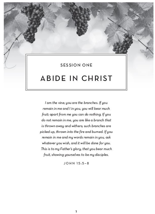 NKJV Abide Bible and the Abide Bible Course Bundle
