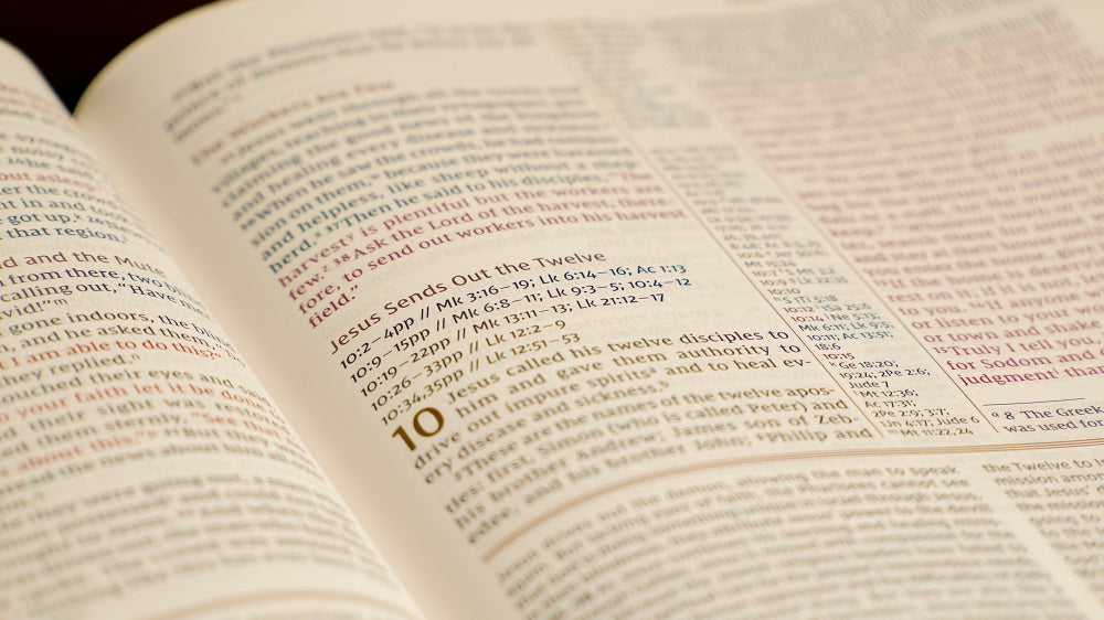 Ikke vigtigt Settle I navnet NIV, The Grace and Truth Study Bible, Large Print, Red Letter, Comfort –  ChurchSource