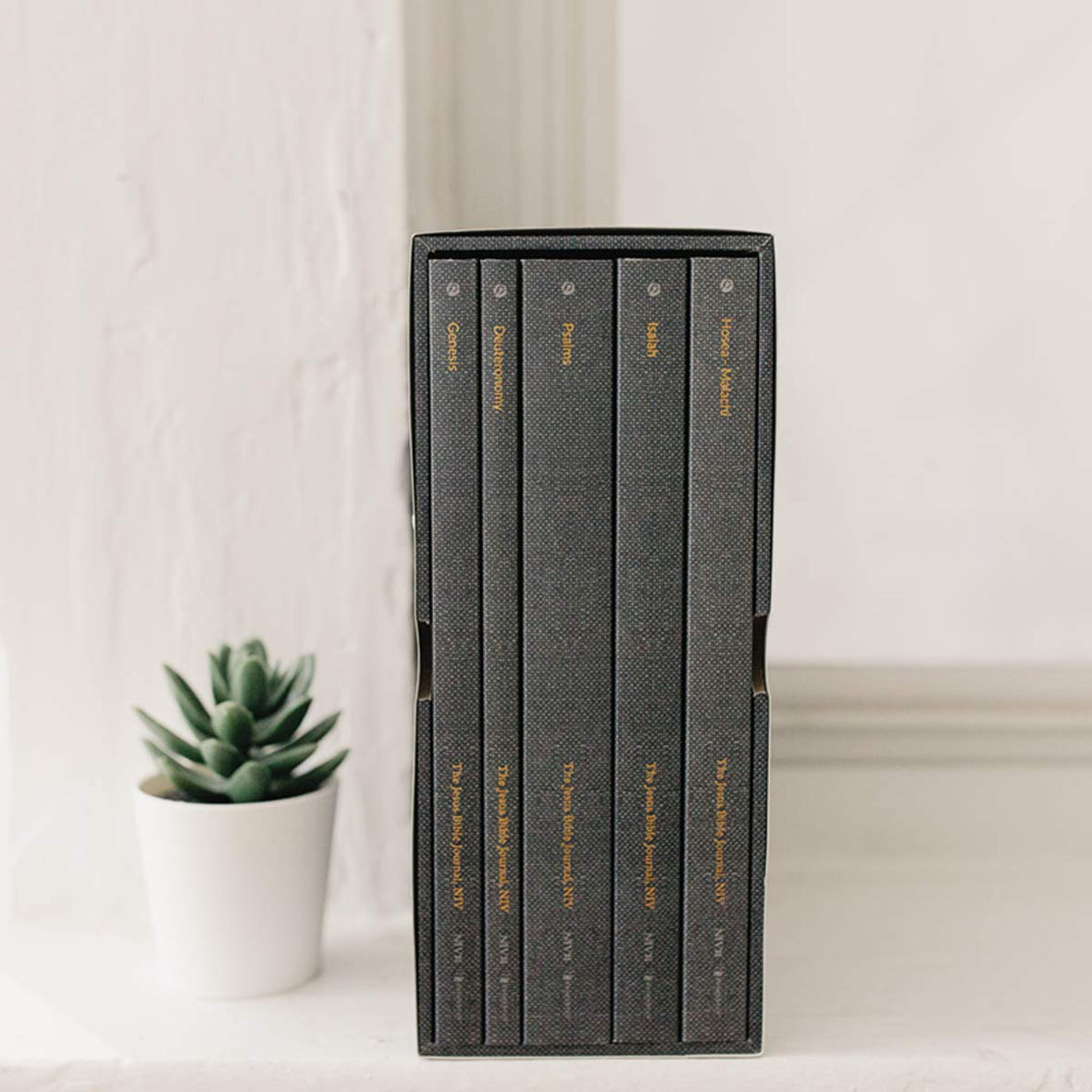 The Jesus Bible Journal, Selected Old Testament Books, 5-Volume Boxed Set, NIV, Paperback, Comfort Print