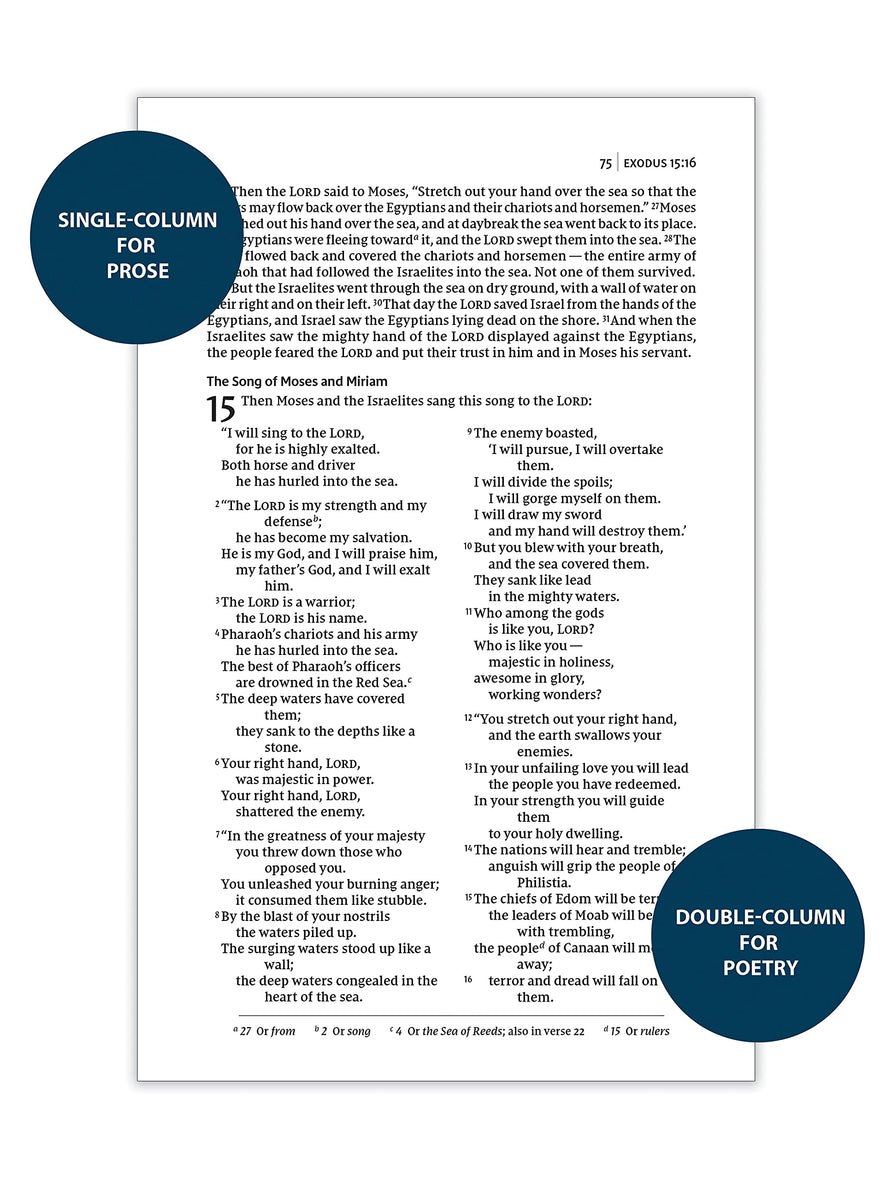 NIV, Thinline Bible, Passaggio Setting, Red Letter Edition, Comfort Print: Elegantly uniting single and double columns into one Passaggio Setting Bible design