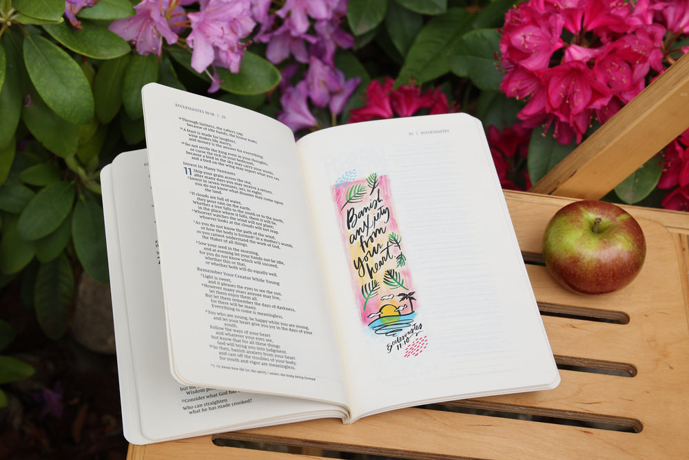 NIV, Beautiful Word Bible Journal, Ecclesiastes, Paperback