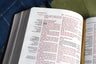 KJV, Thompson Chain-Reference Bible, Handy Size, Red Letter, Comfort Print