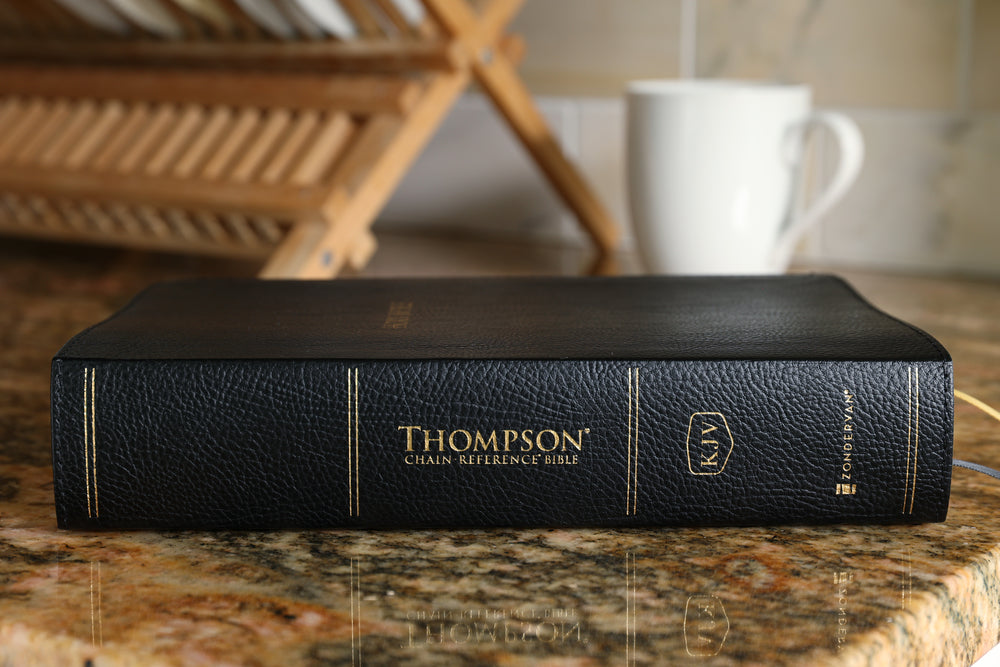 KJV, Thompson Chain-Reference Bible, Handy Size, Red Letter