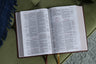 KJV, Thompson Chain-Reference Bible, Large Print, Red Letter, Comfort Print