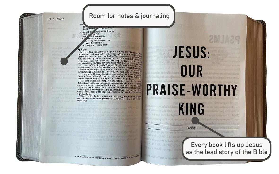 The Jesus Bible Artist Edition, NIV, Comfort Print