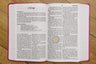 NIrV, Holy Bible, Large Print, Leathersoft