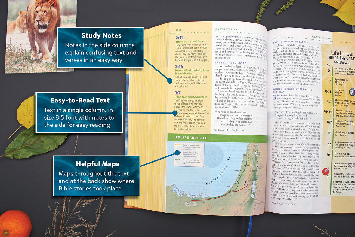 NIV, Kids' Visual Study Bible, Full Color Interior: Explore the Story of the Bible—People, Places, and History