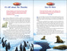 NIV Adventure Bible Book of Devotions: Polar Exploration Edition: 365 Days of Adventure