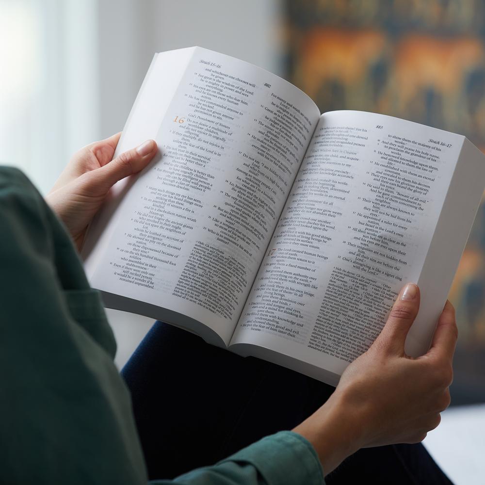 NRSV, Catholic Women's Devotional Bible: Featuring Daily Meditations by Women and a Reading Plan Tied to the Lectionary