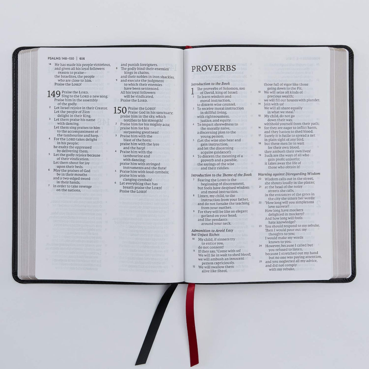 NET Bible, Thinline Large Print, Comfort Print: Holy Bible