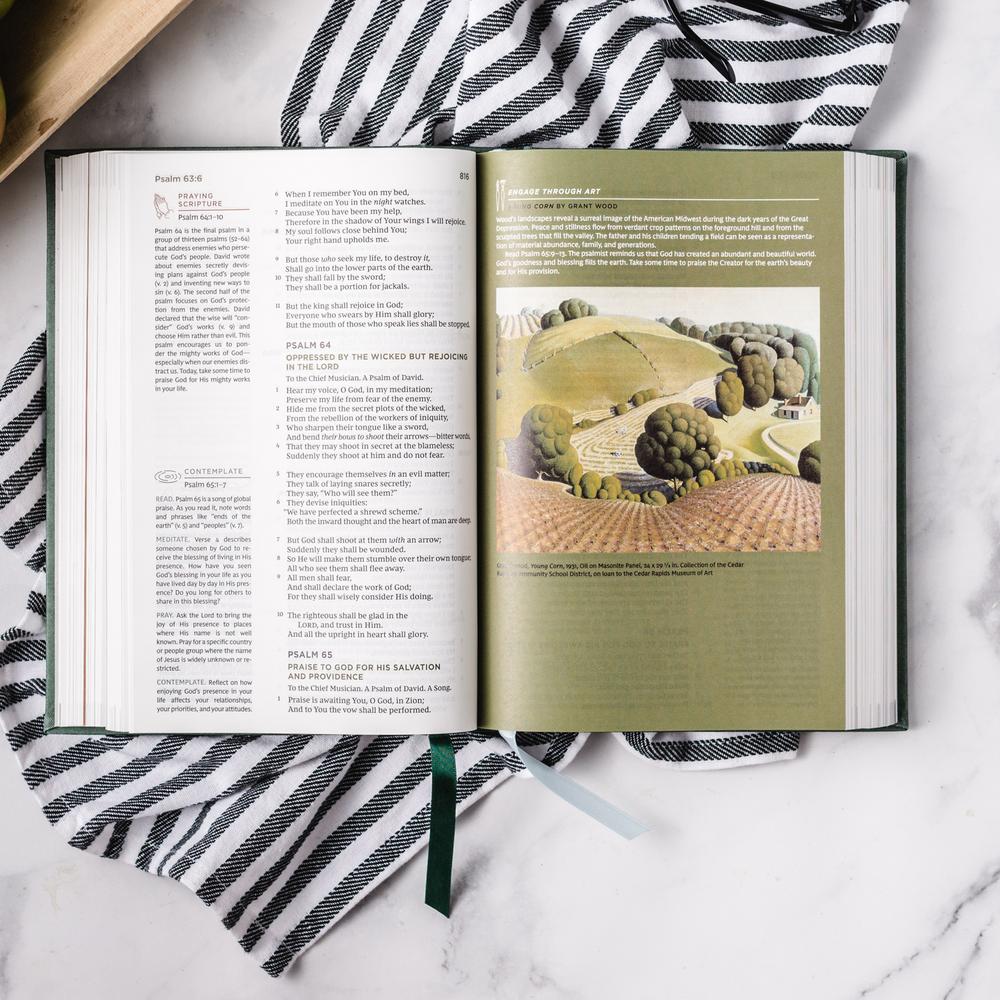 NKJV, Abide Bible, Red Letter Edition, Comfort Print: Holy