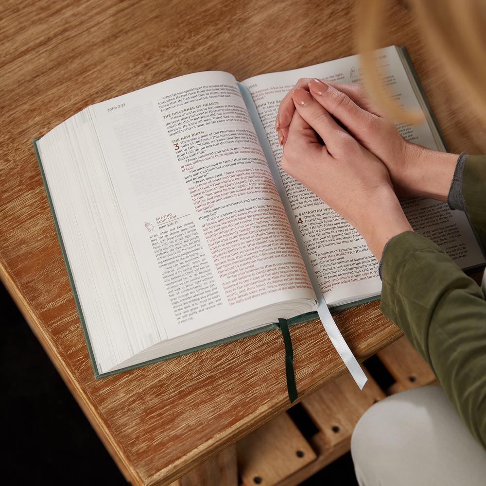 NKJV, Abide Bible, Red Letter Edition, Comfort Print: Holy