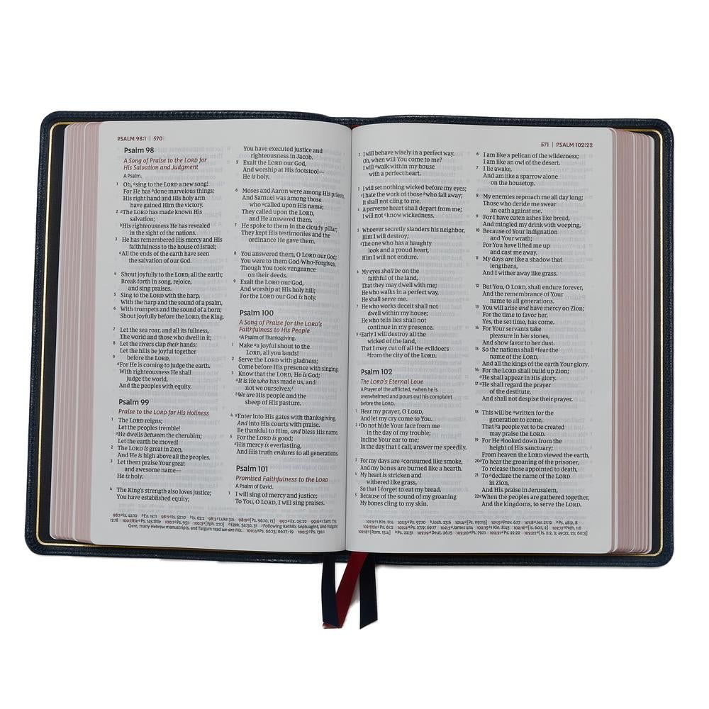 NKJV Thinline Reference Bible [Large Print, Brown] [Book]