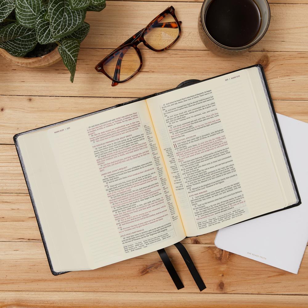 KJV, Journal Reference Edition Bible, Verse Art Cover Collection