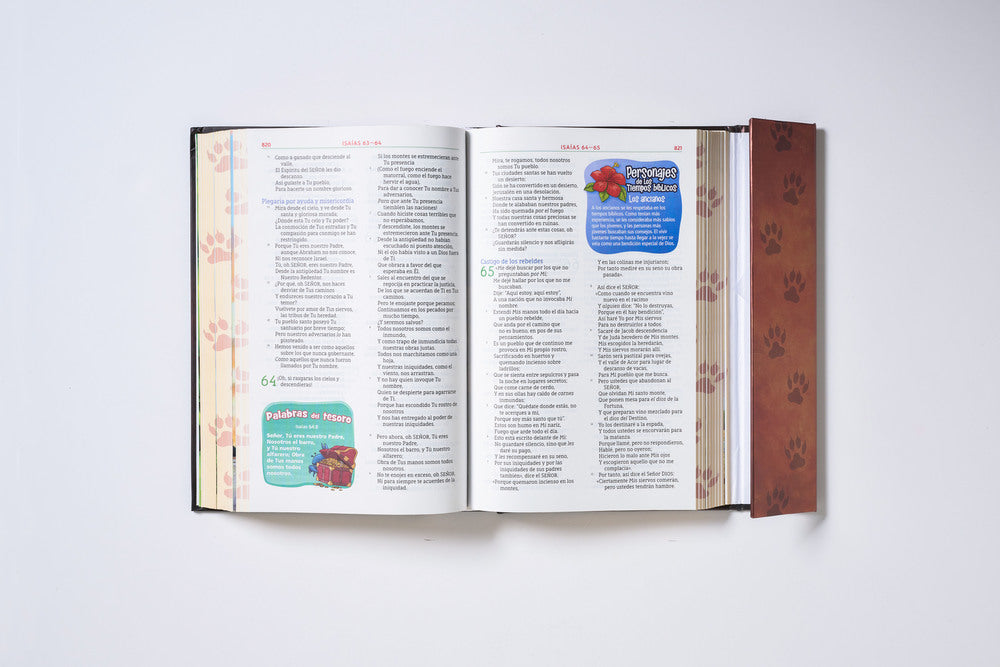 Biblia para niños: Edición de regalo – ChurchSource