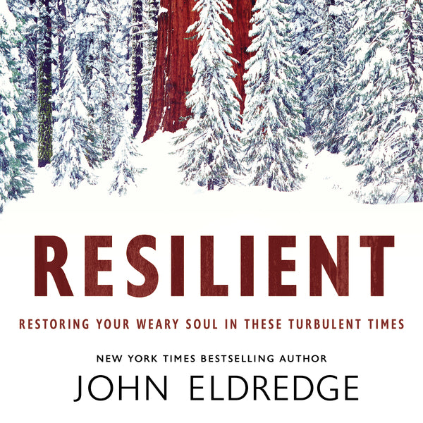 Resilient By John Eldredge We All Have Seasons In Our Life