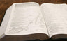 NASB, MacArthur Study Bible, Large Print: Holy Bible, New American Standard Bible