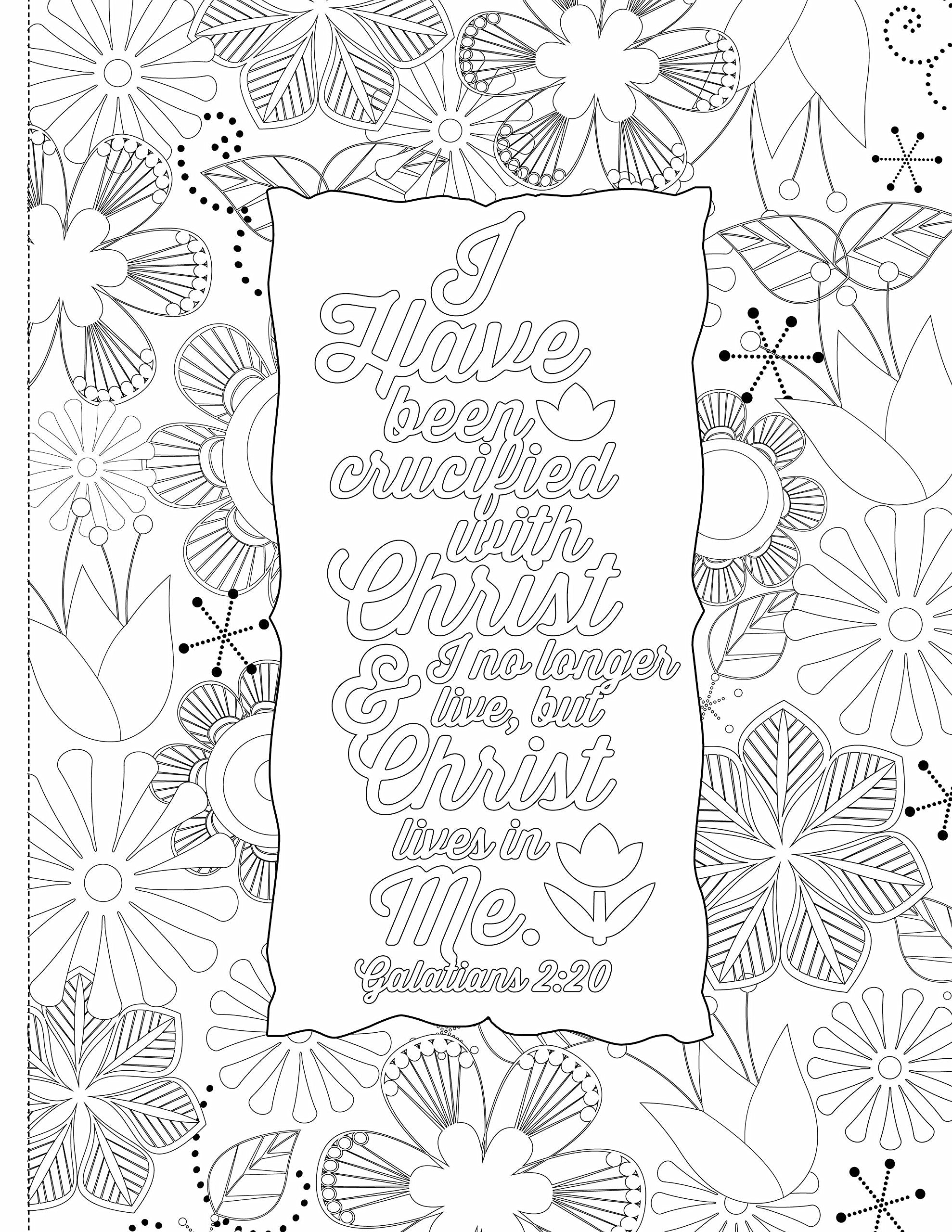 Chapter by Chapter Bible Study Journal & Coloring Book – Scripture