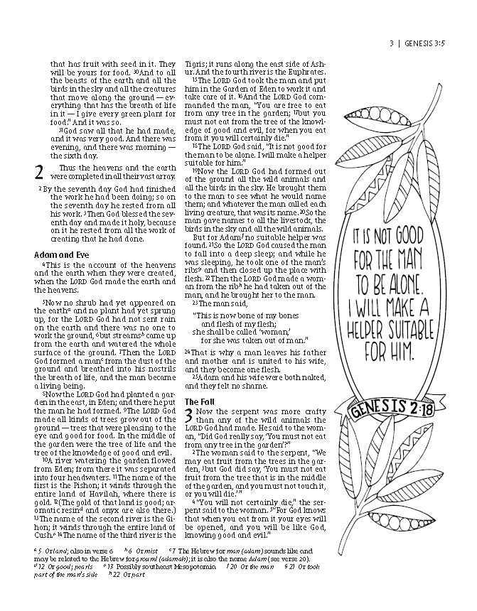 Niv, Beautiful Word Coloring Bible For Girls Pencil/sticker Gift