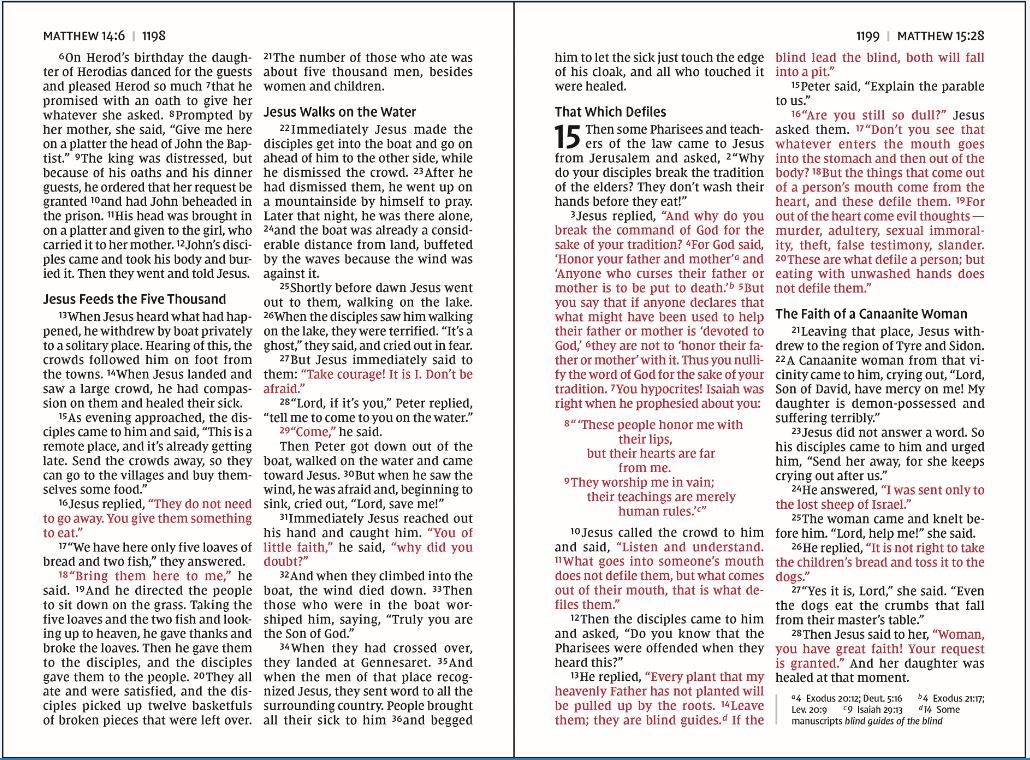 NIV, Thinline Bible, Giant Print, Red Letter, Comfort Print